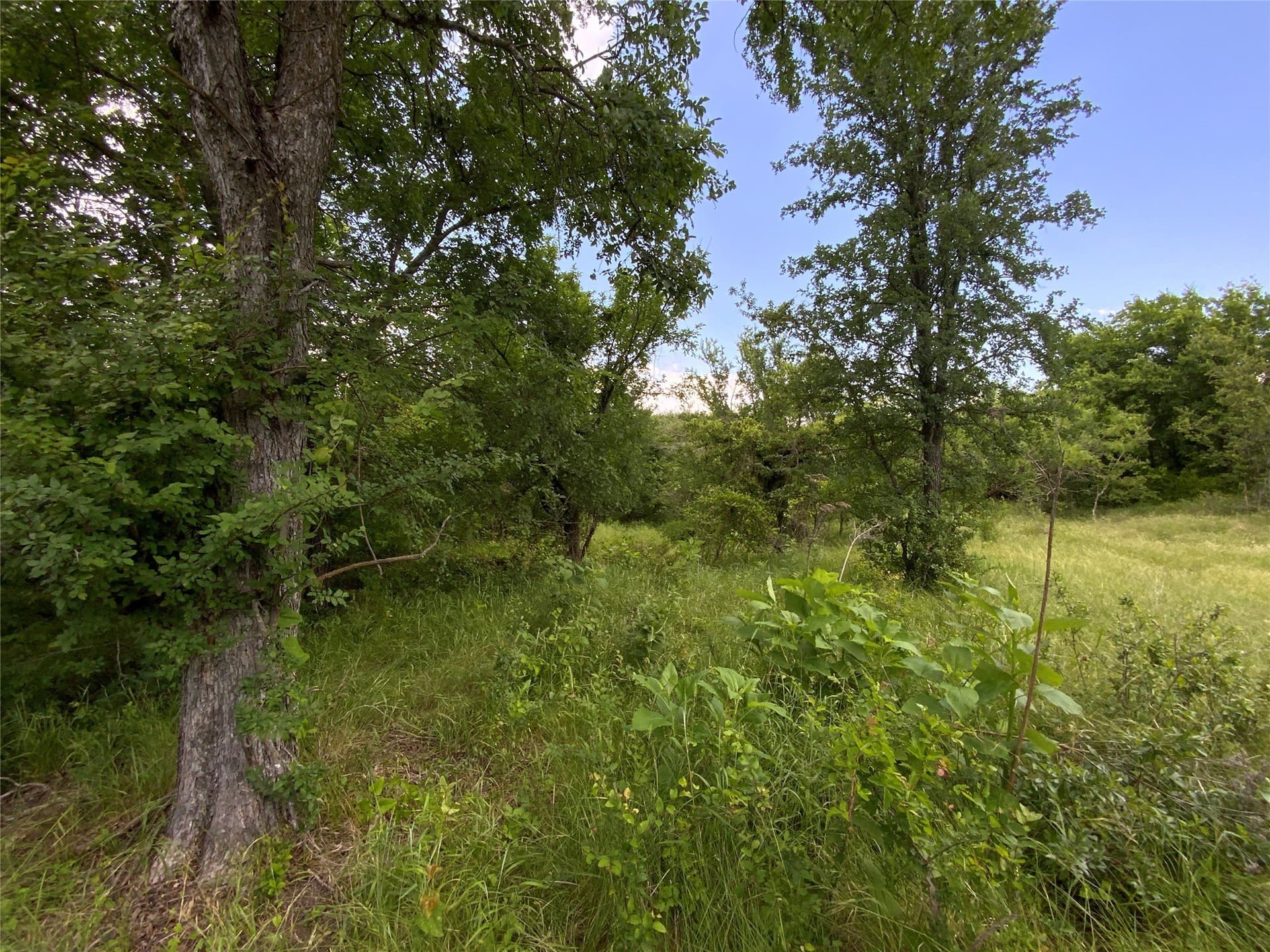 10.09 acres in Comanche County - photo 18