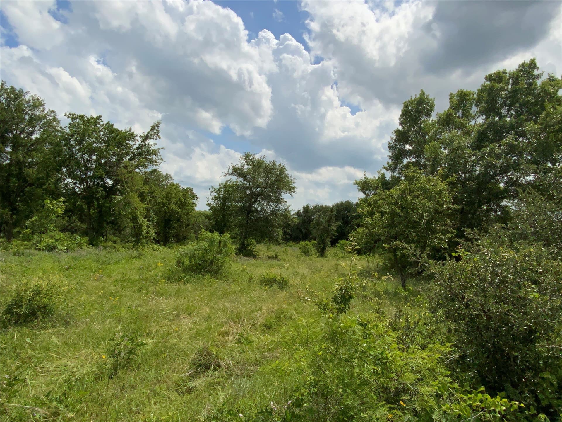 10.09 acres in Comanche County - photo 23