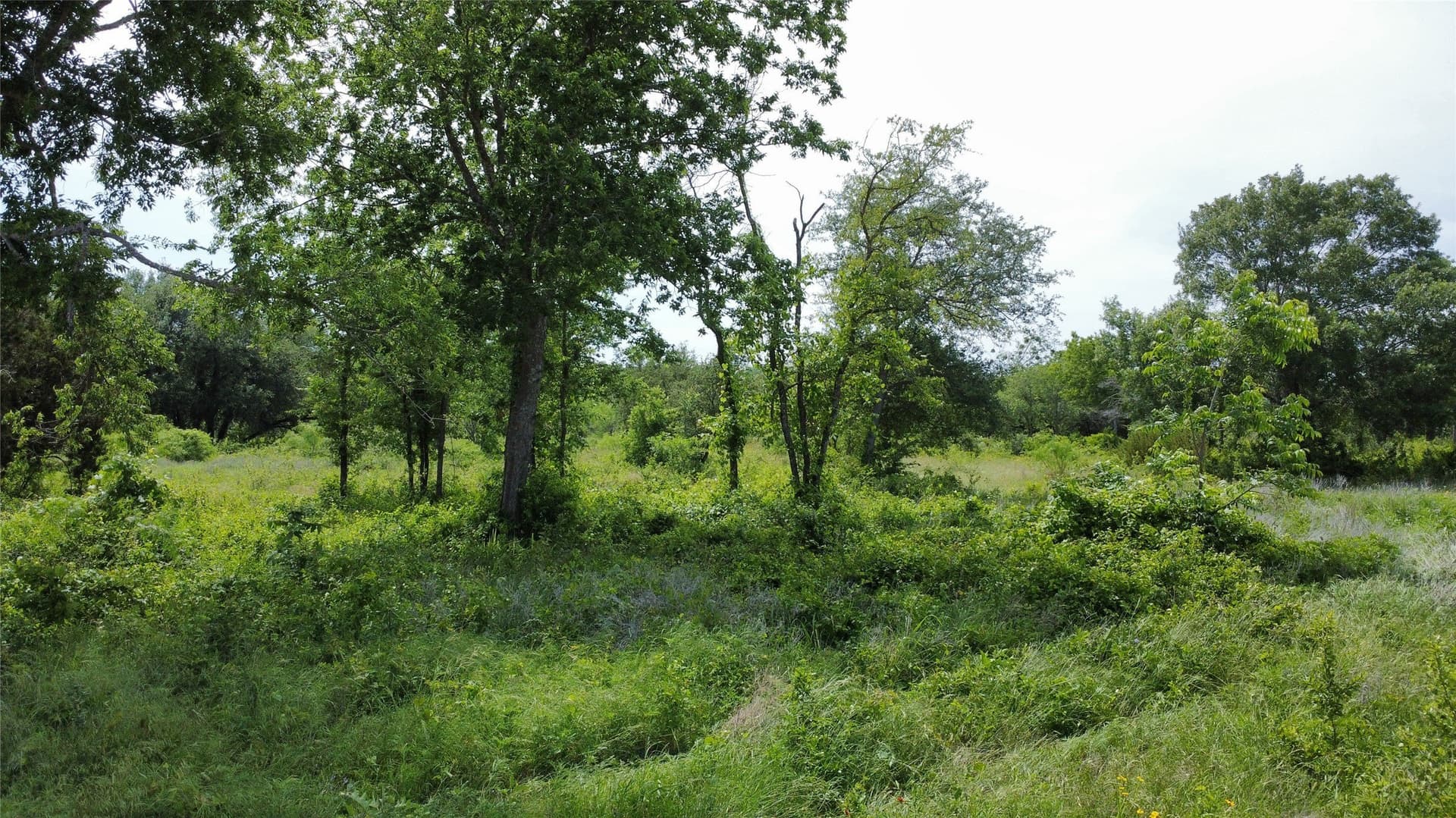 10.09 acres in Comanche County - photo 9