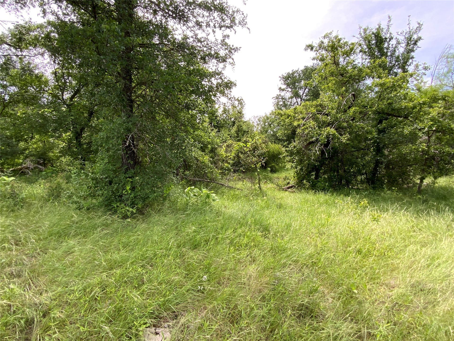 10.09 acres in Comanche County - photo 14