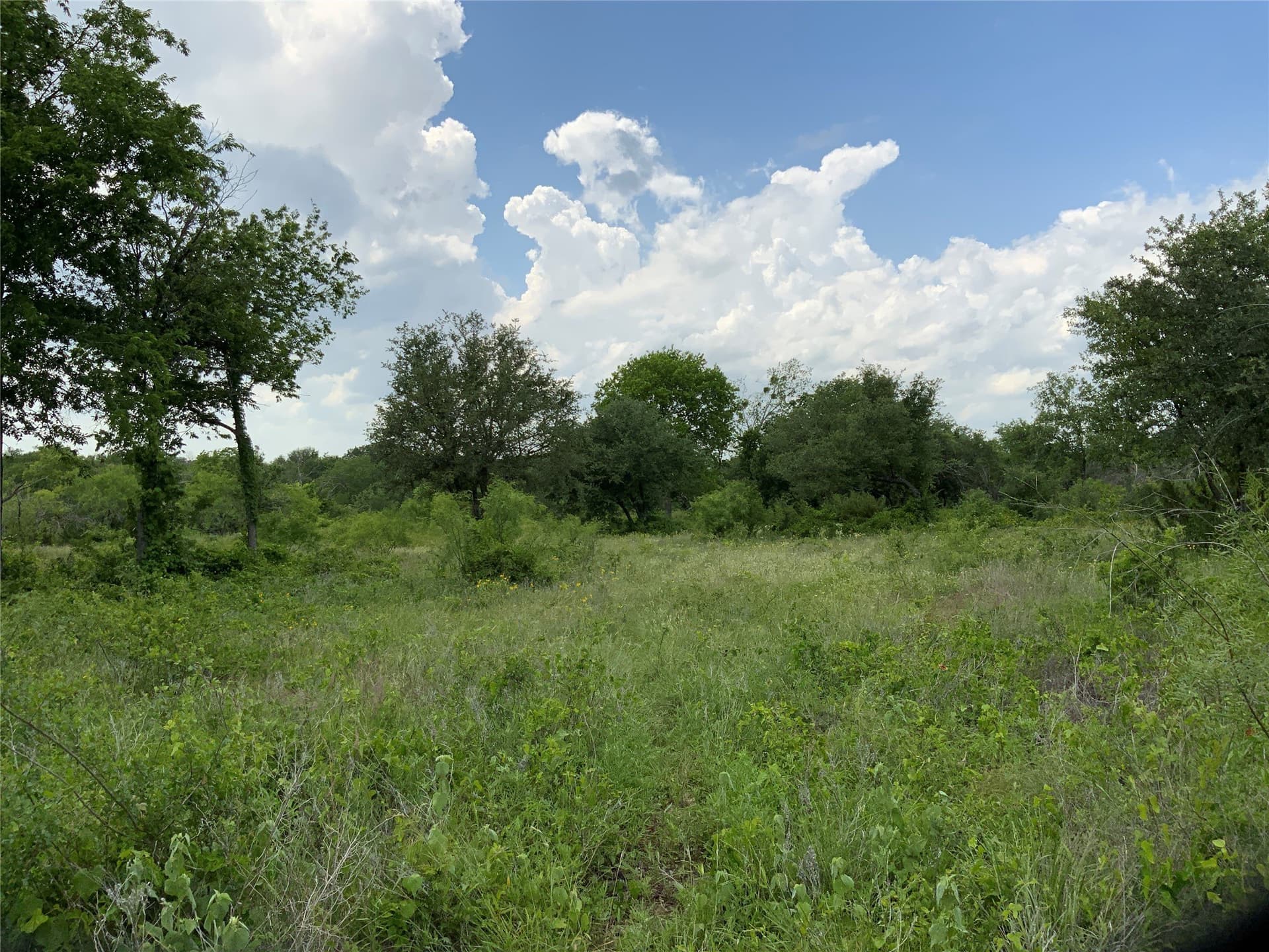 10.09 acres in Comanche County - photo 16