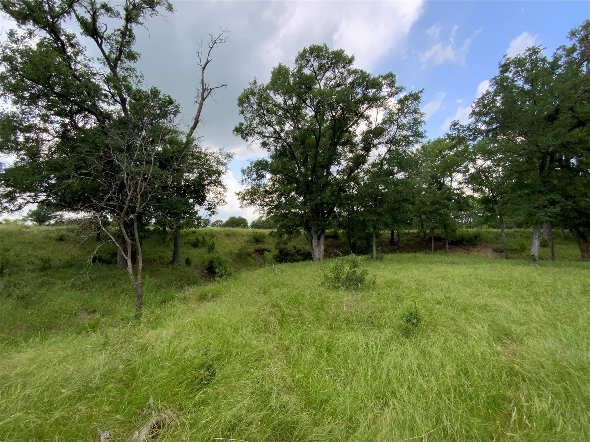10.09 acres in Comanche County - photo 19