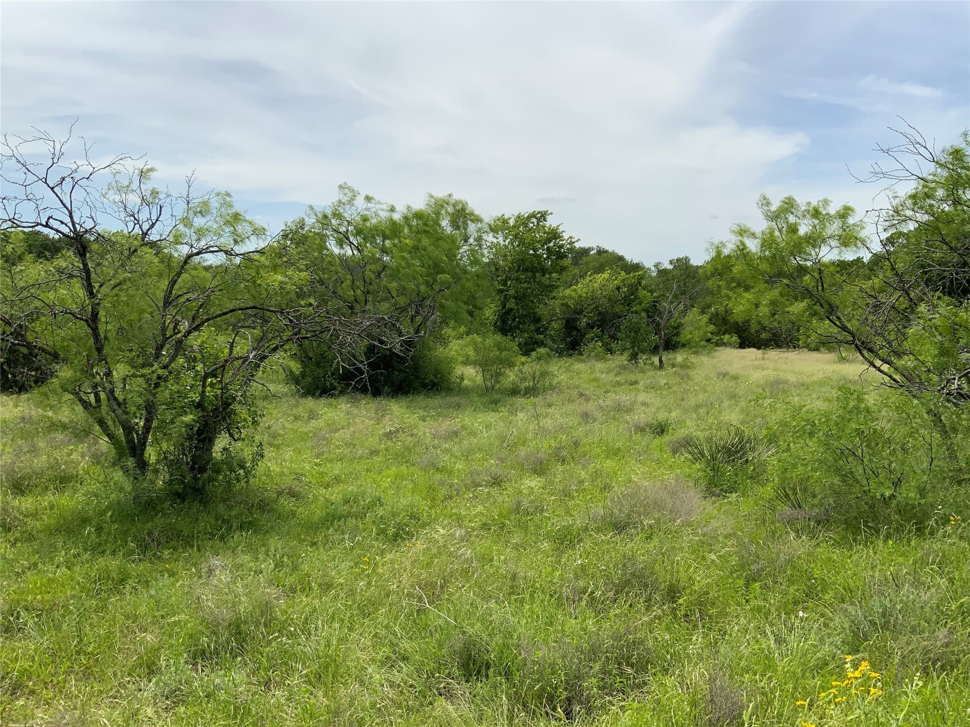 10.09 acres in Comanche County - photo 11