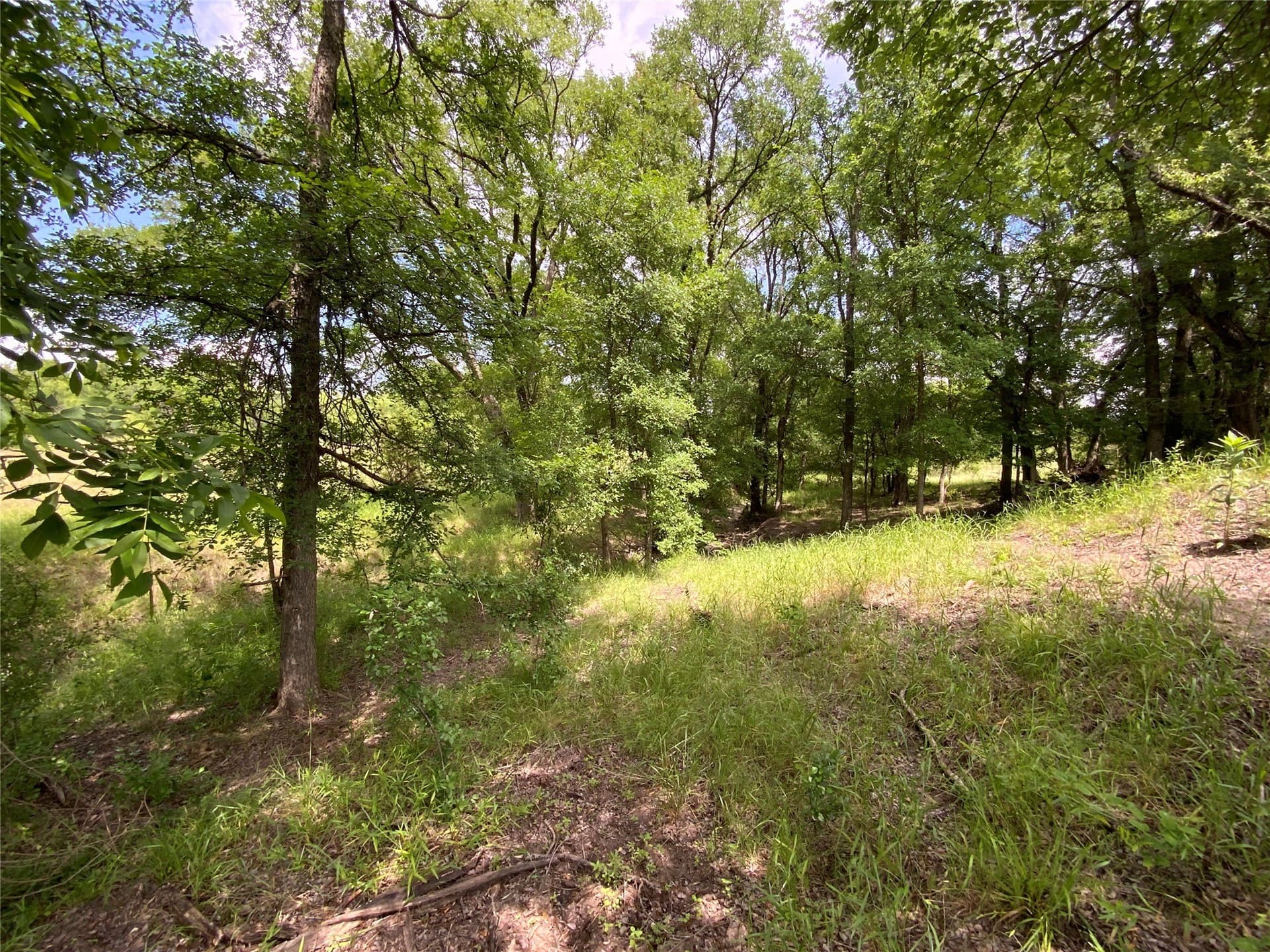 10.09 acres in Comanche County - photo 21