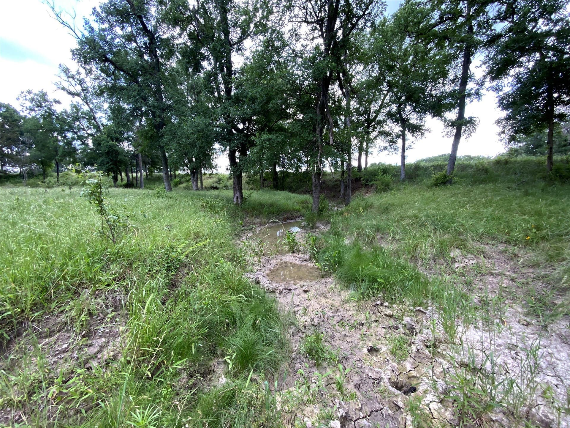 10.09 acres in Comanche County - photo 12