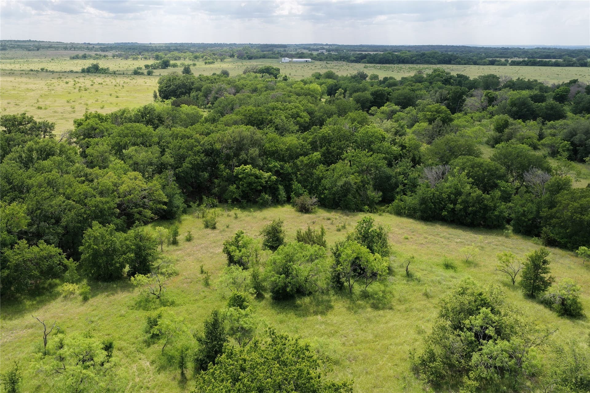10.09 acres in Comanche County gallery image 2