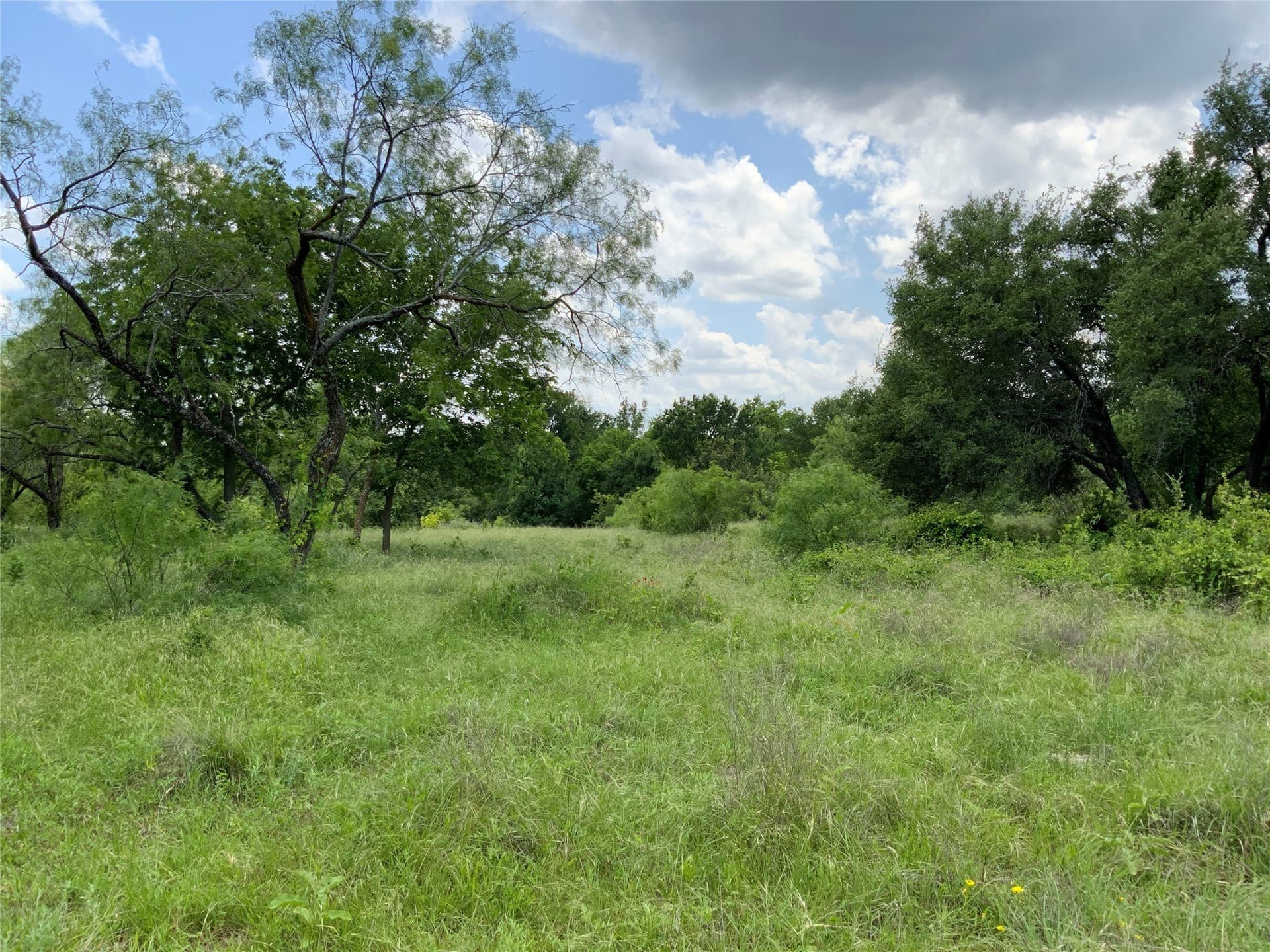 10.09 acres in Comanche County - photo 17