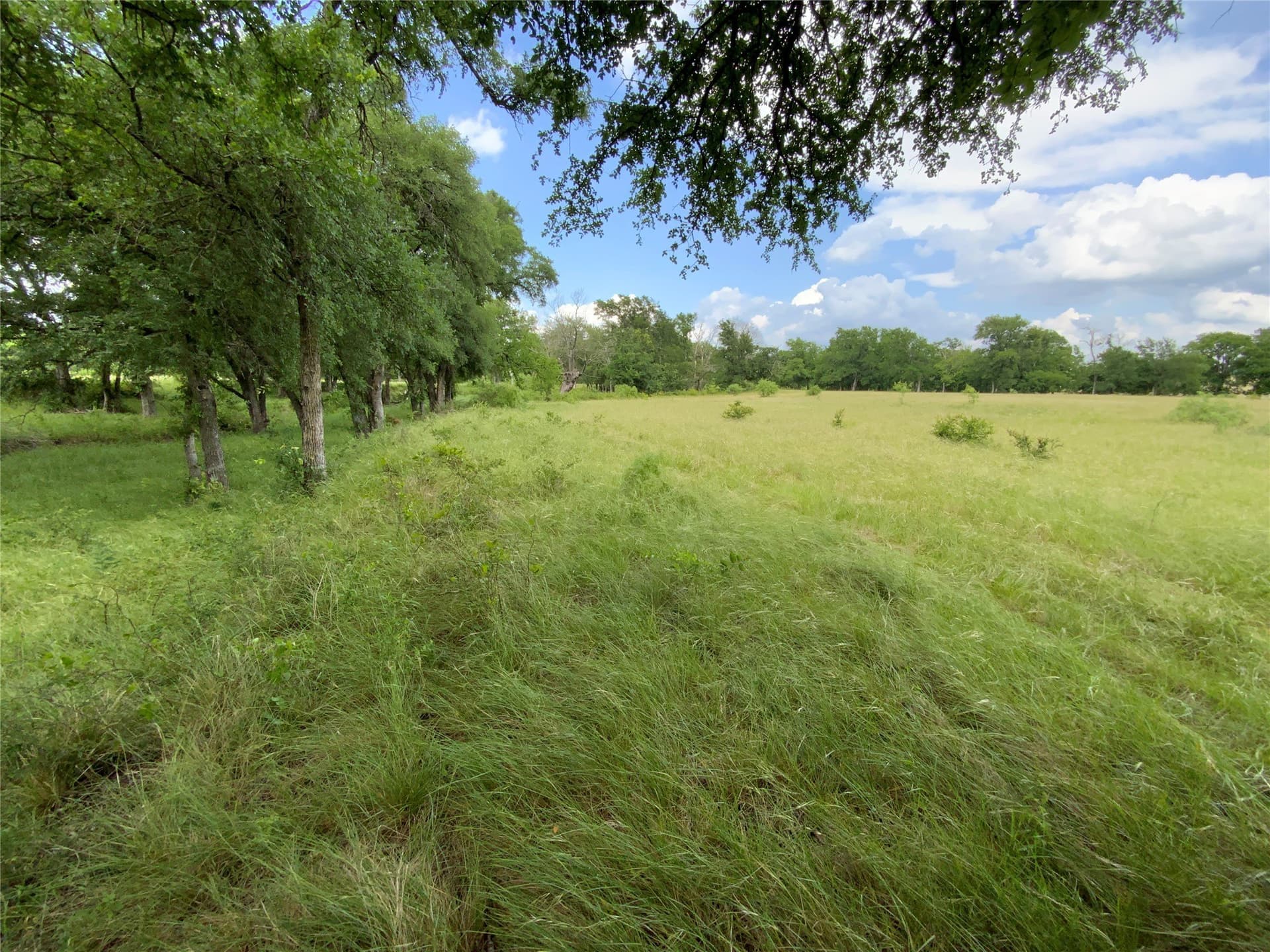 10.09 acres in Comanche County - photo 22