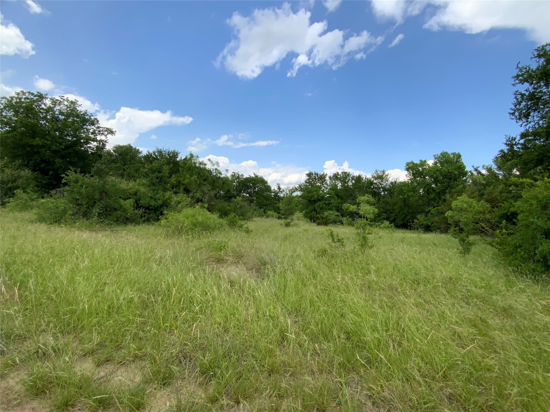 10.09 acres in Comanche County - photo 20