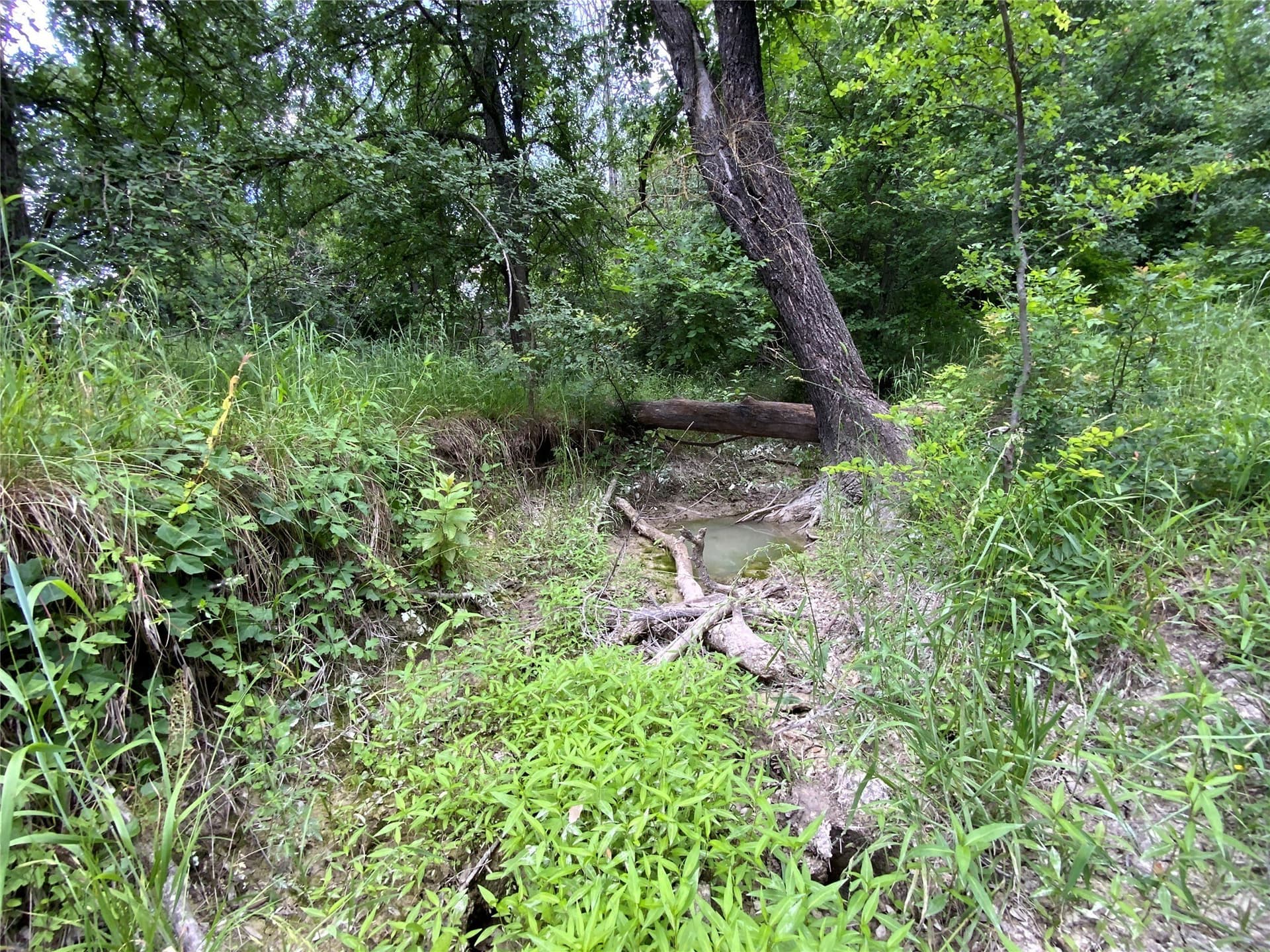 10.09 acres in Comanche County - photo 6