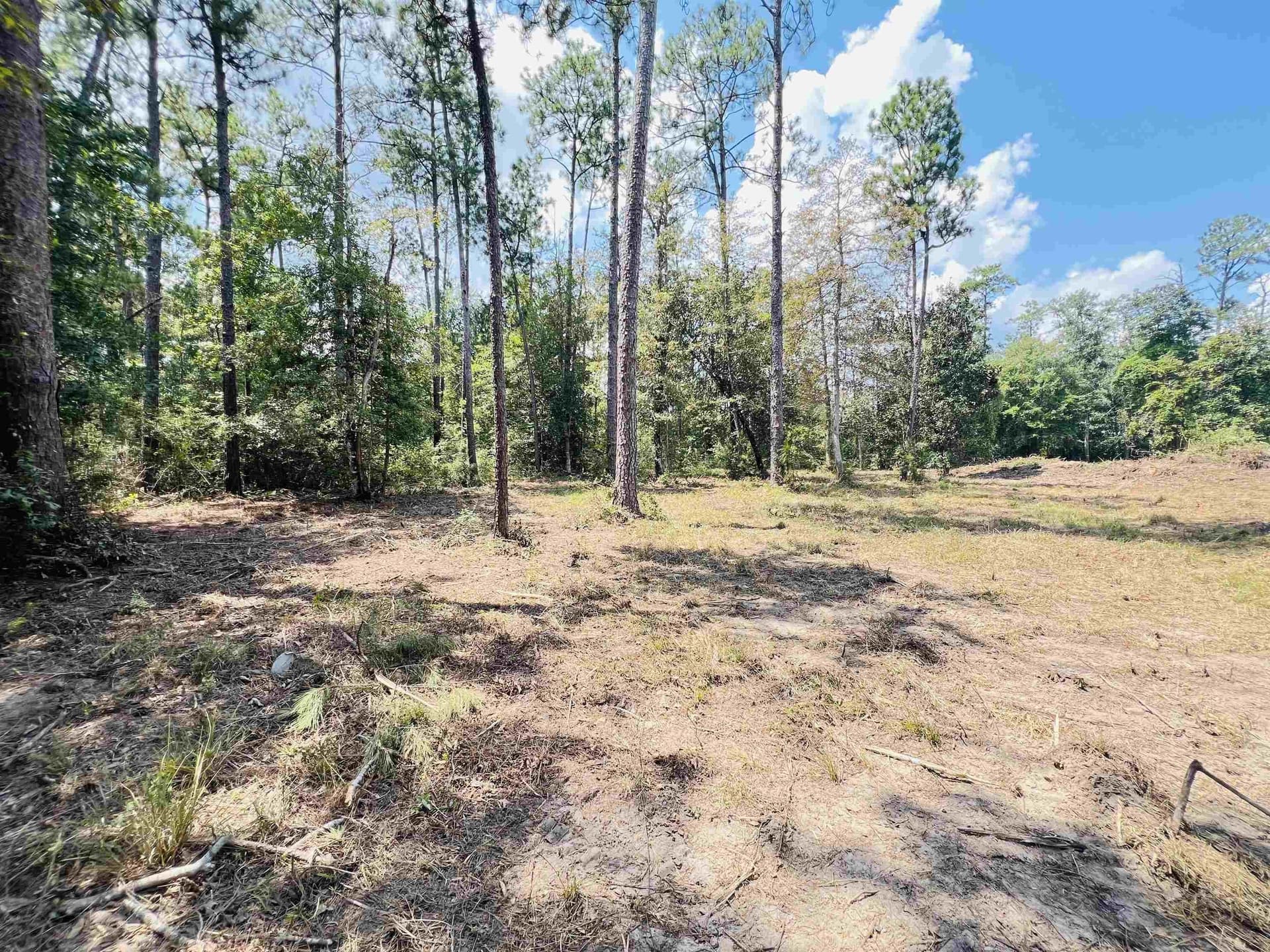 3 acres in Texas County gallery image 2