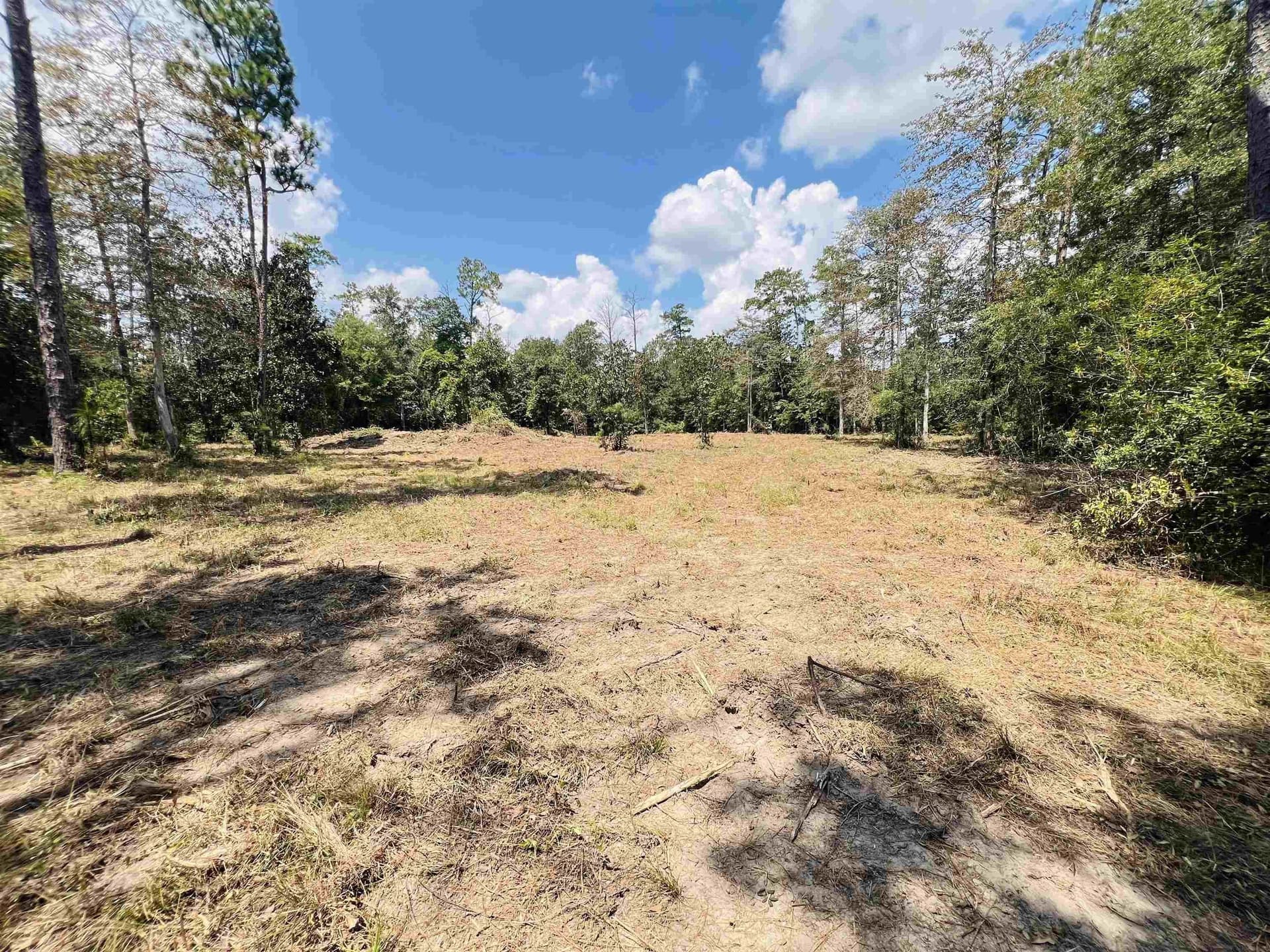 3 acres in Texas County gallery image 3