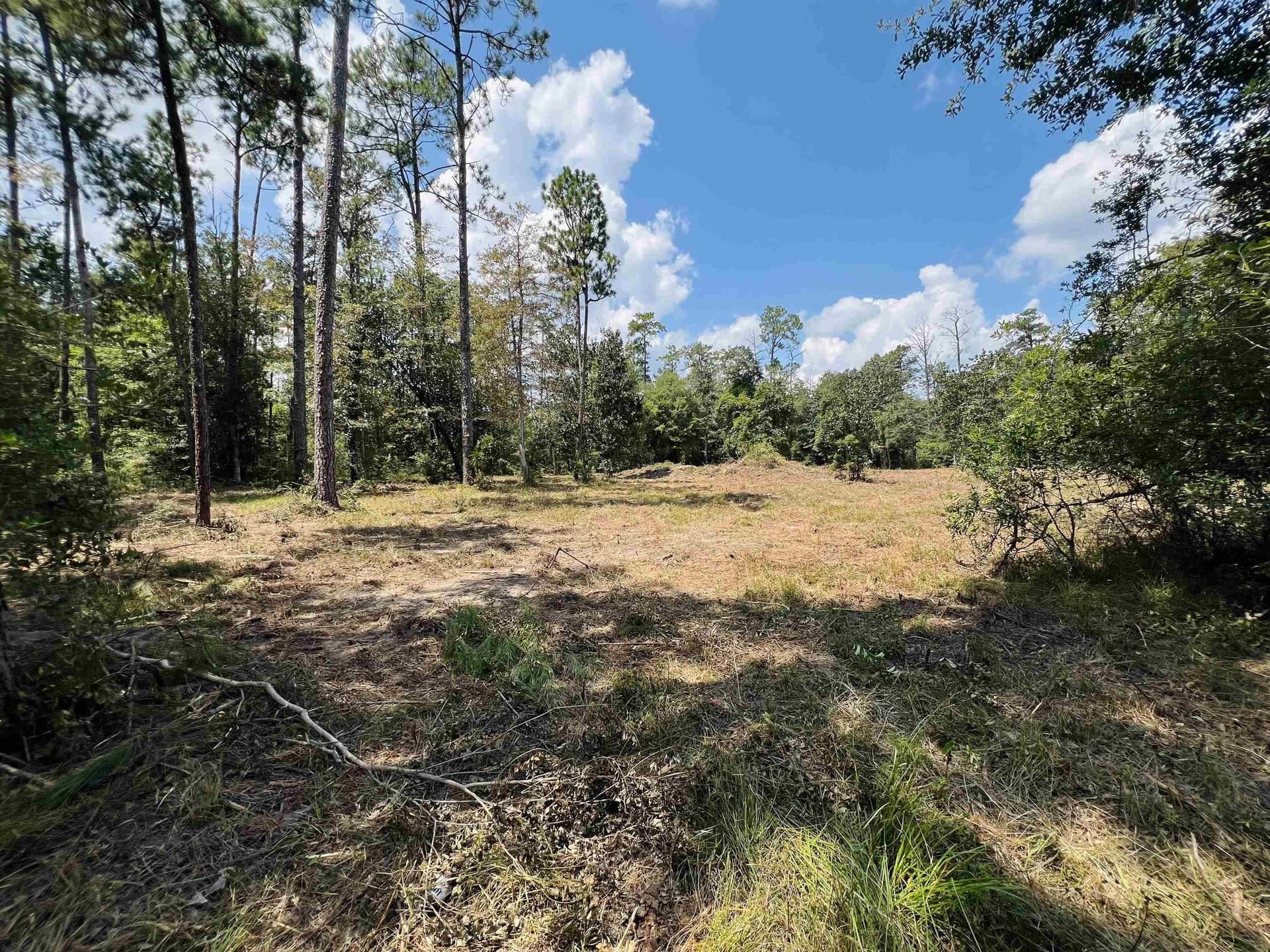 3 acres in Texas County gallery image 4