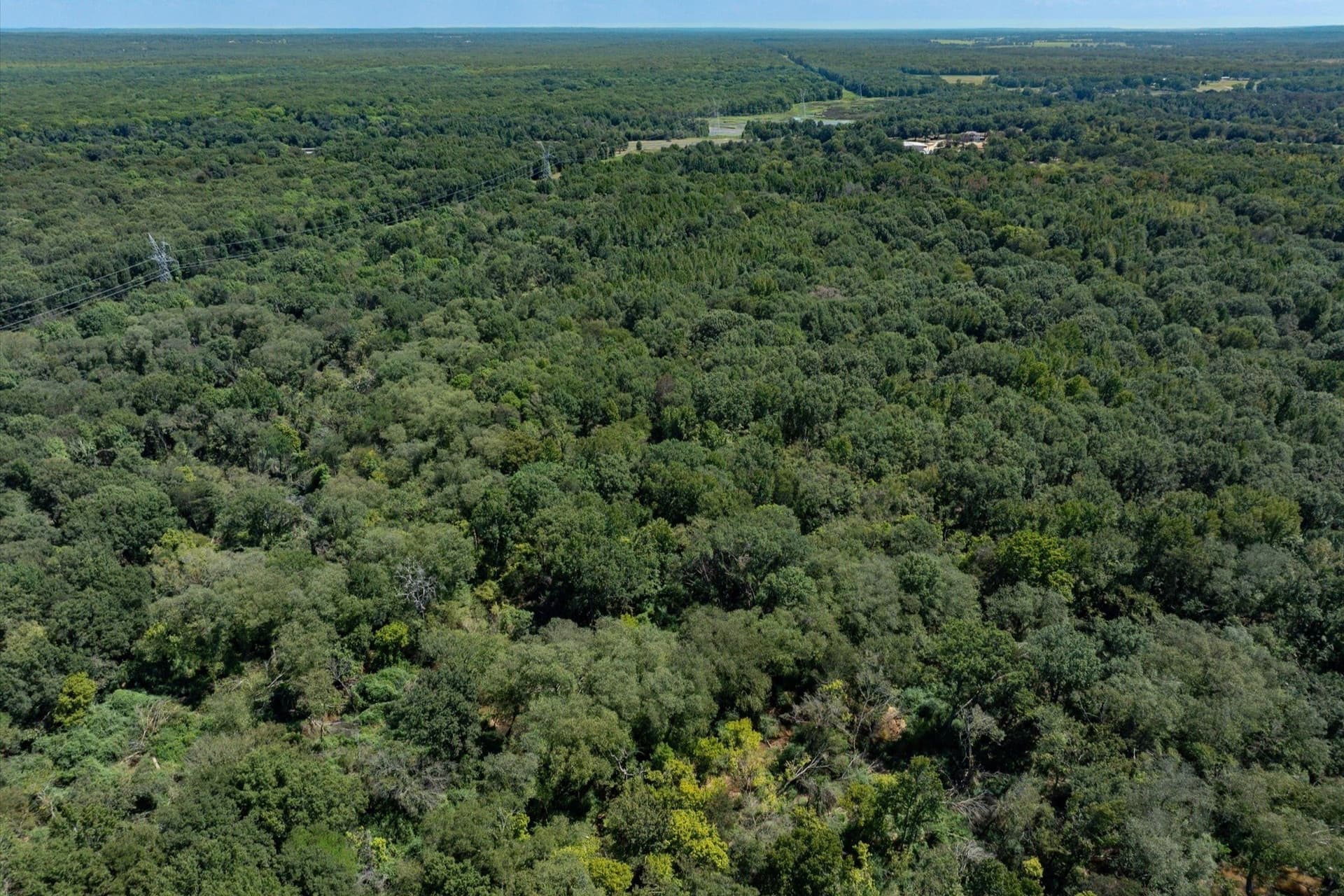 51 acres in Smith County - photo 8