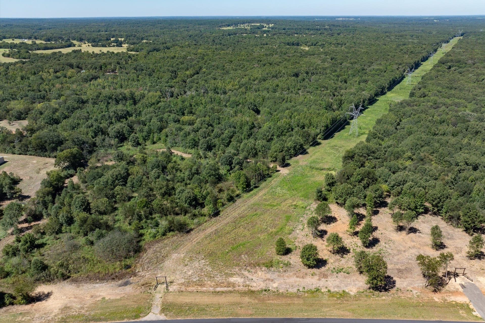 51 acres in Smith County - photo 3