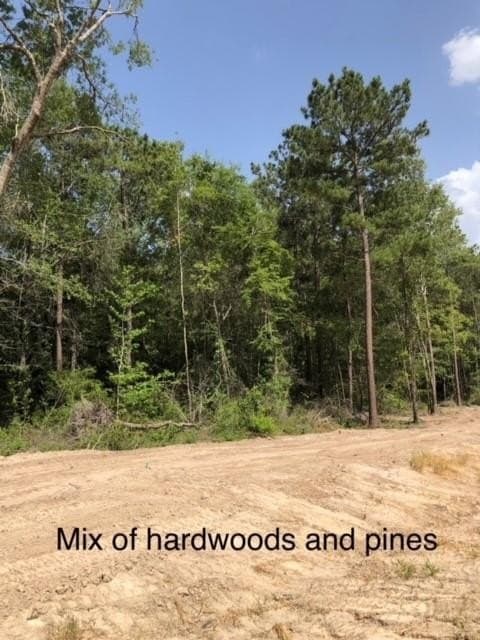 1.72 acres in Texas County gallery image 2