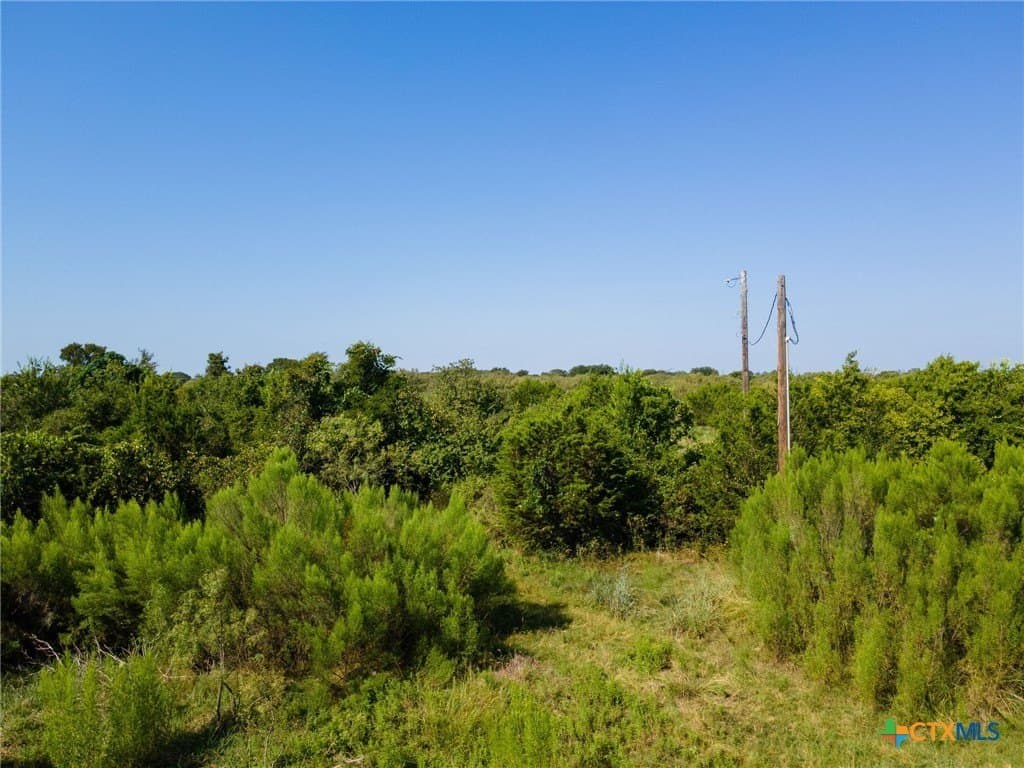 30.31 acres in Lampasas County - photo 6