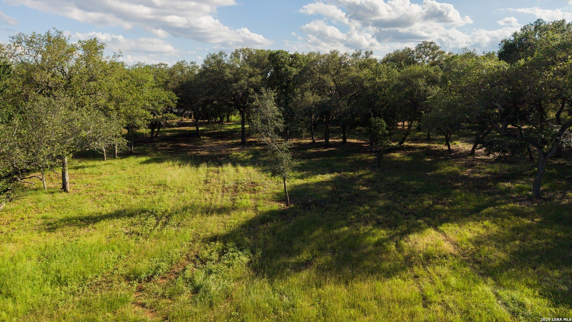 1 acres in Bexar County - photo 11