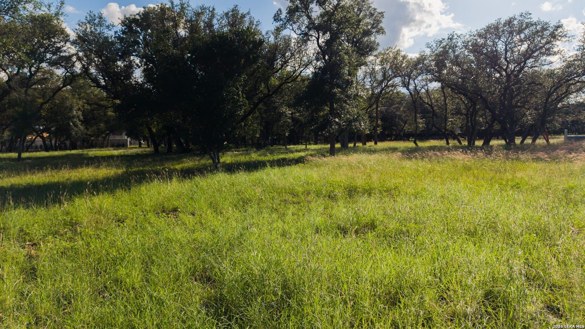 1 acres in Bexar County - photo 10