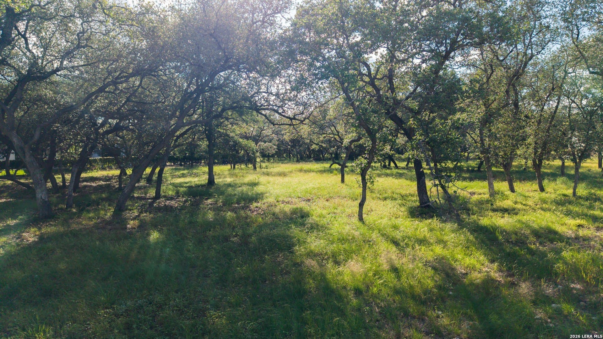 1 acres in Bexar County - photo 12