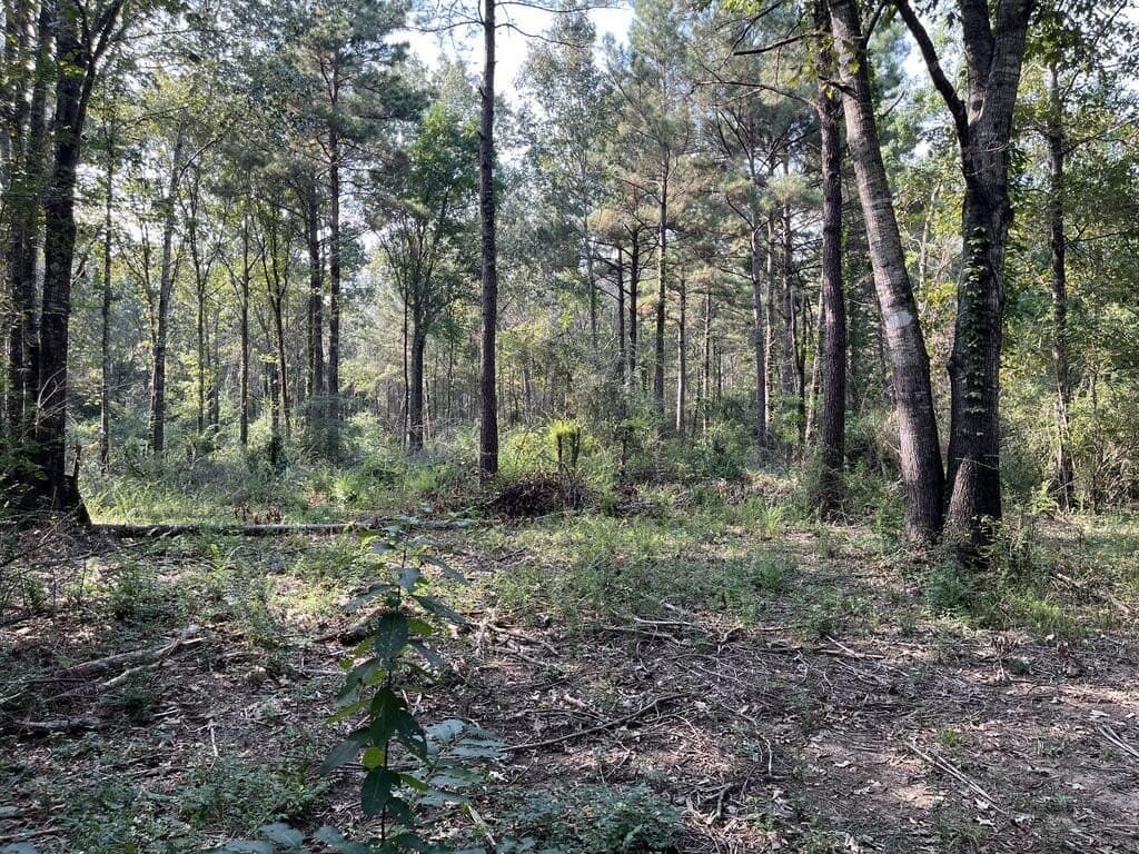 5.6 acres in Texas County - photo 2