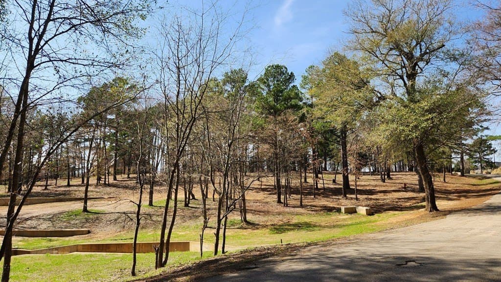 2.64 acres in SMITH County gallery image 4