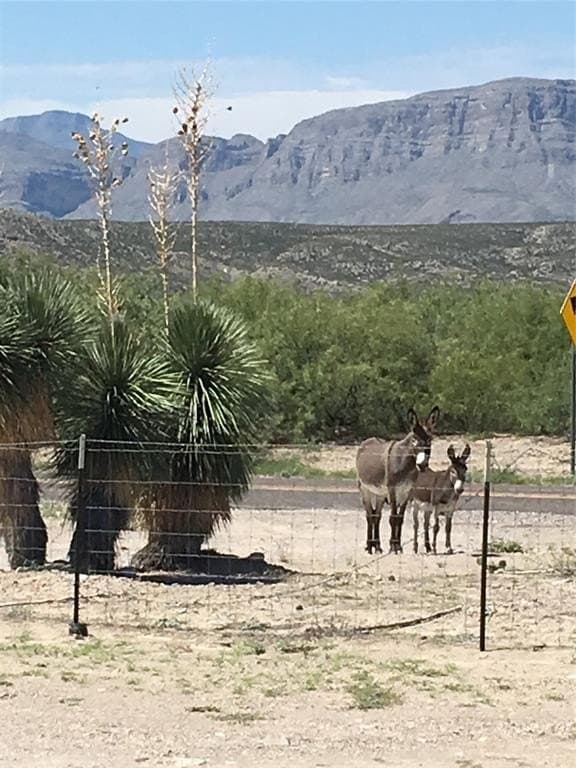 389 acres in Presidio County gallery image 2