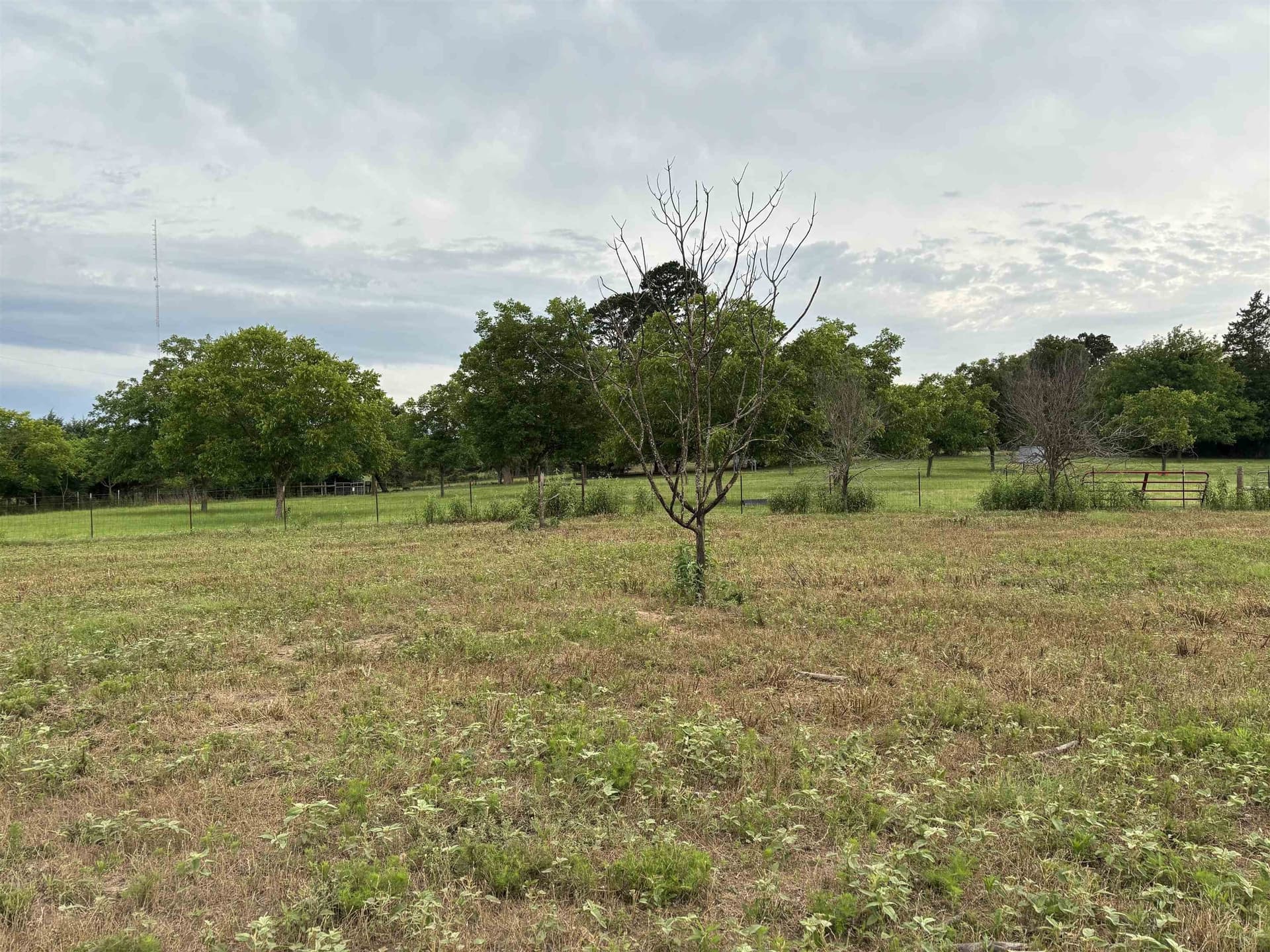 1 acres in Texas County
