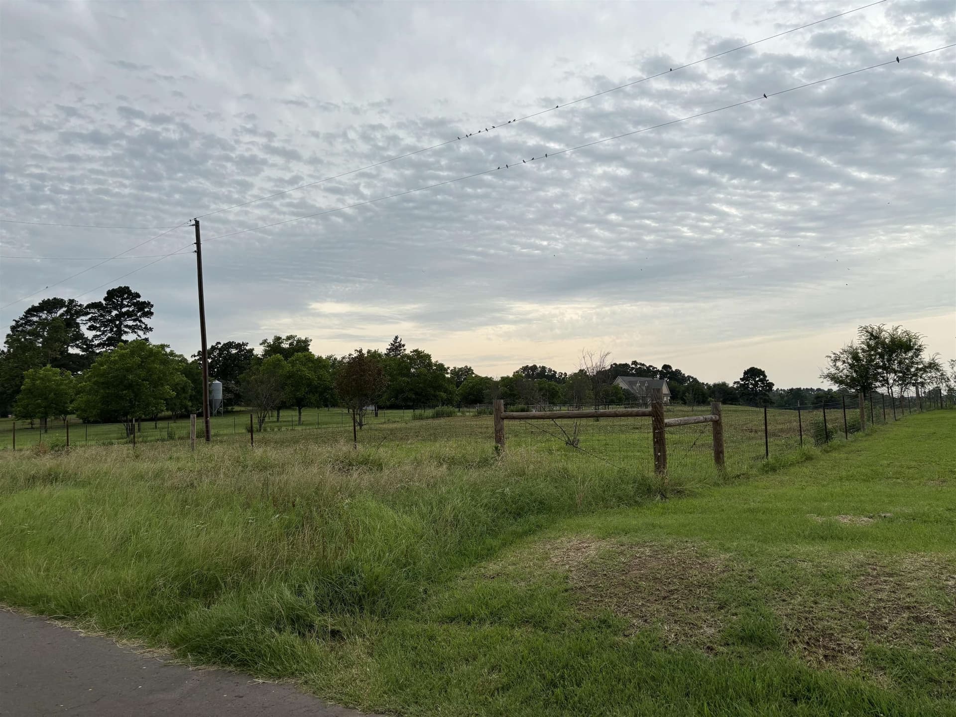 1 acres in Texas County - photo 5