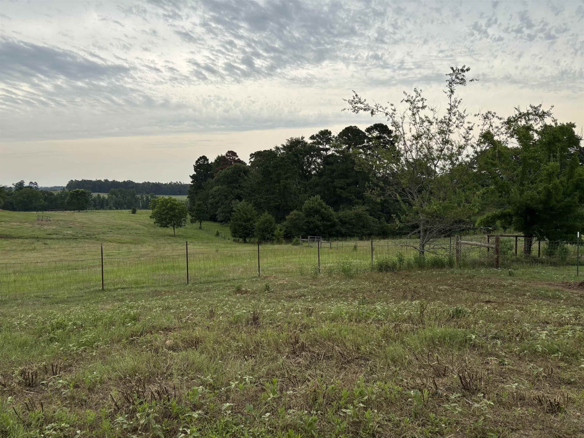 1 acres in Texas County - photo 7