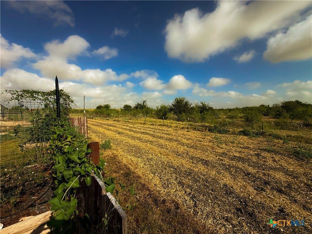 48.85 acres in Milam County - photo 13