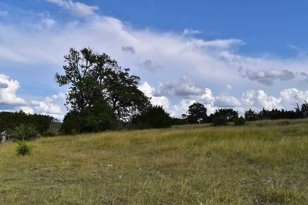 3.09 acres in Gillespie County gallery image 4