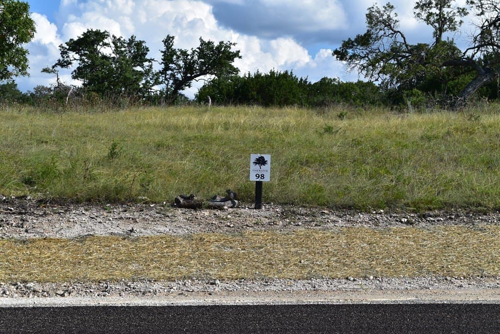 3.09 acres in Gillespie County gallery image 2