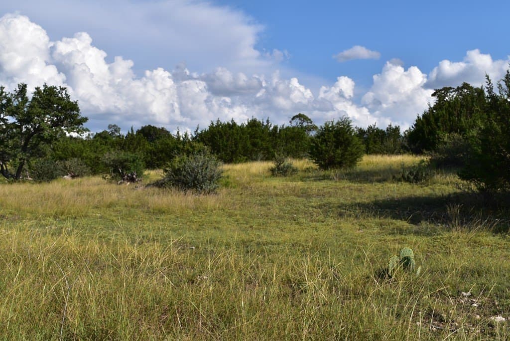 3.09 acres in Gillespie County - photo 10
