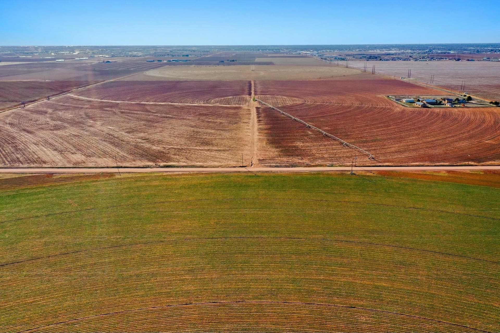160 acres in Lubbock County gallery image 3