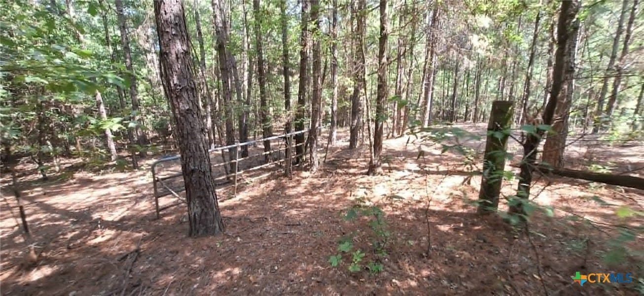 28.56 acres in Upshur County - photo 6