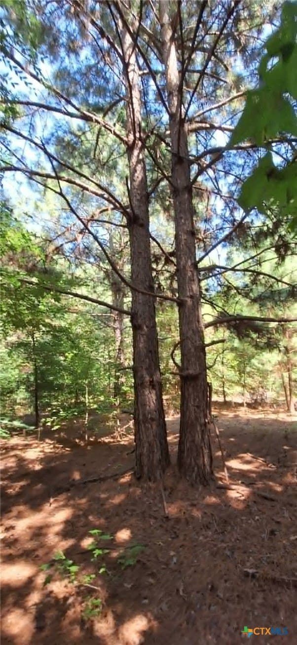 28.56 acres in Upshur County featured view