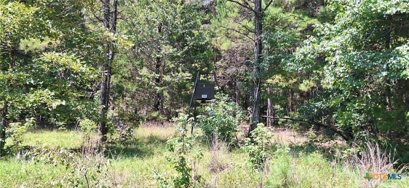 28.56 acres in Upshur County - photo 21