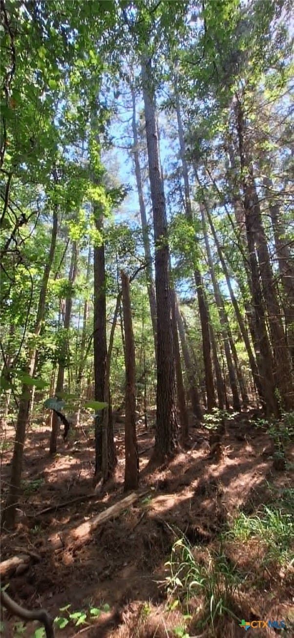 28.56 acres in Upshur County - photo 15
