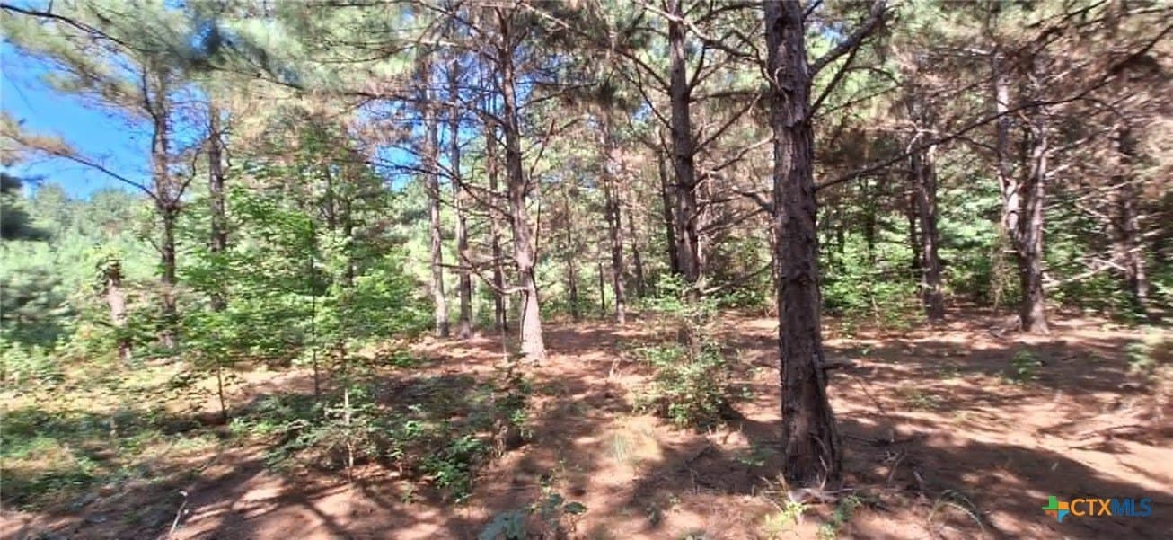 28.56 acres in Upshur County - photo 26