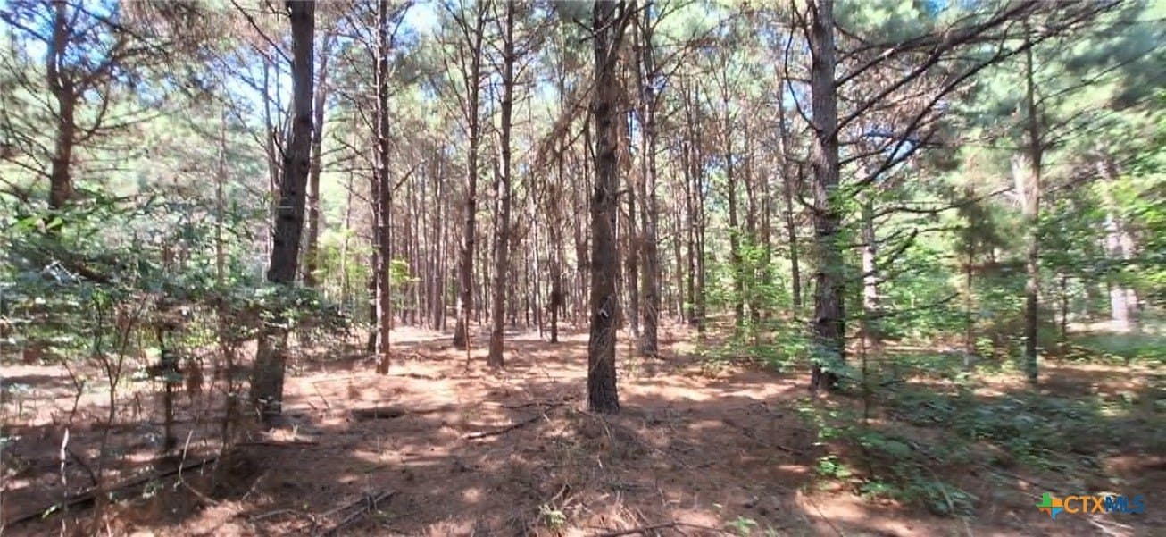 28.56 acres in Upshur County - photo 33