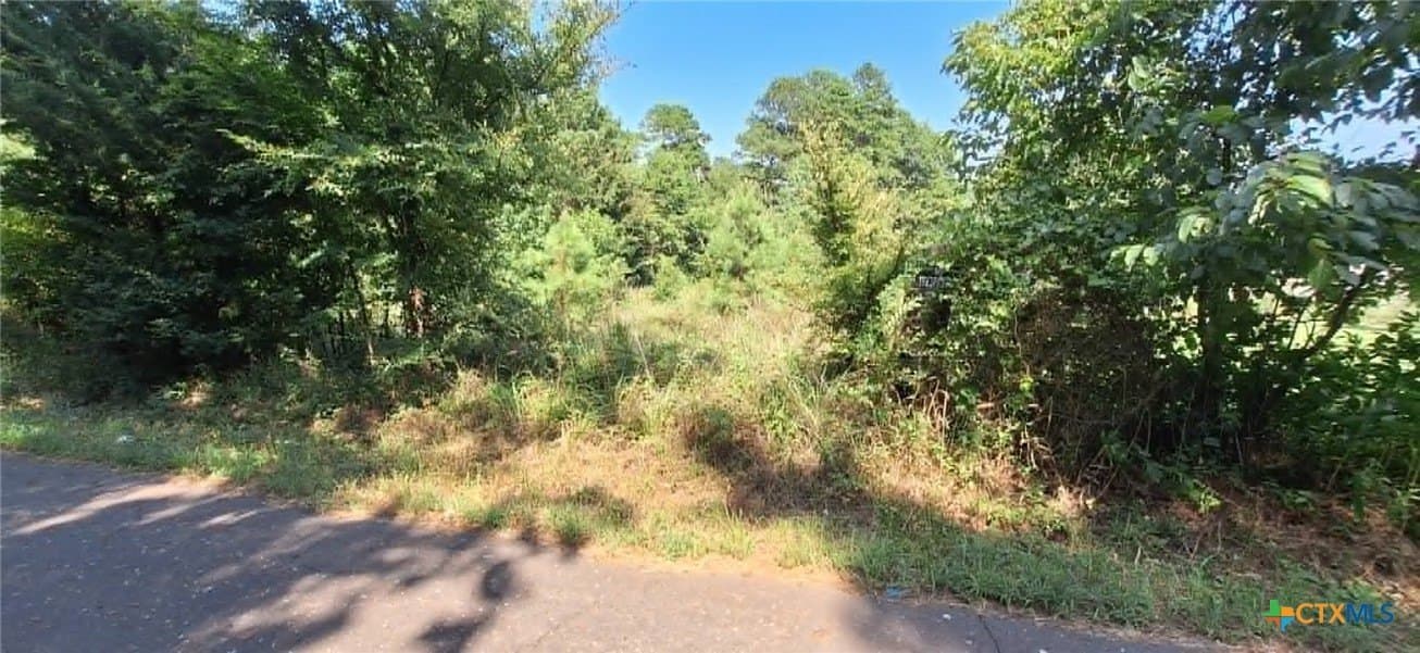 28.56 acres in Upshur County - photo 16