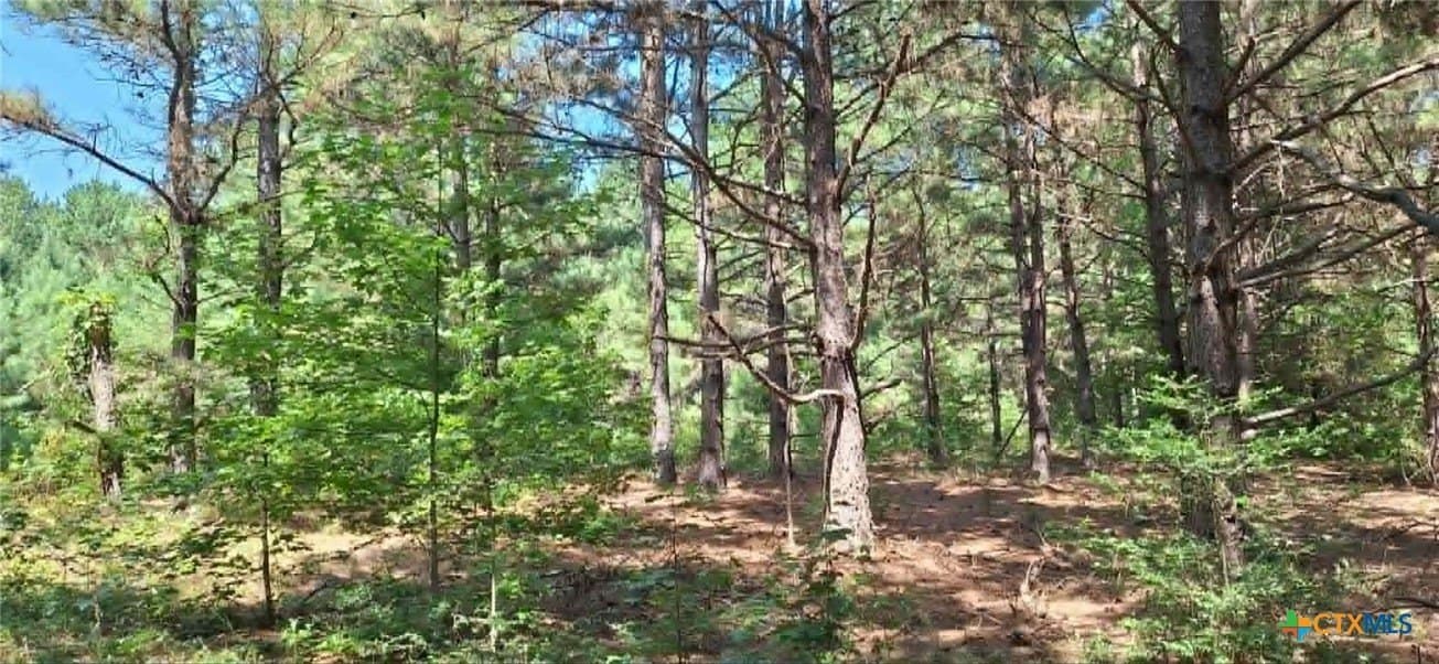 28.56 acres in Upshur County - photo 11