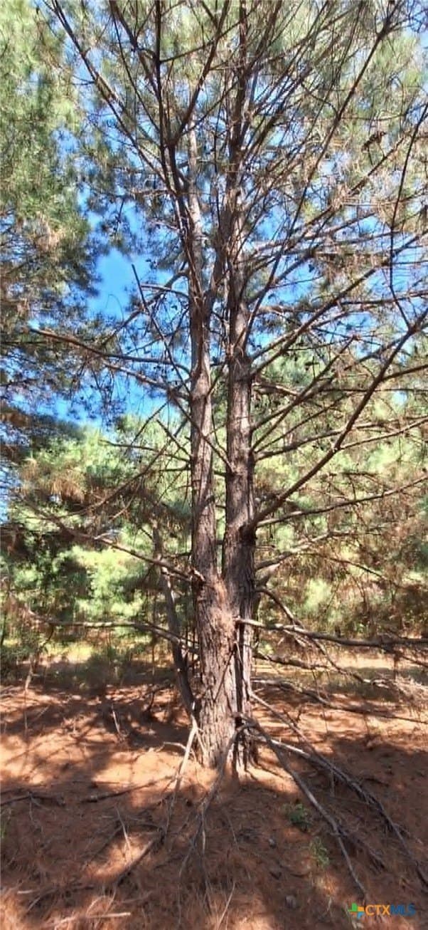 28.56 acres in Upshur County - photo 23