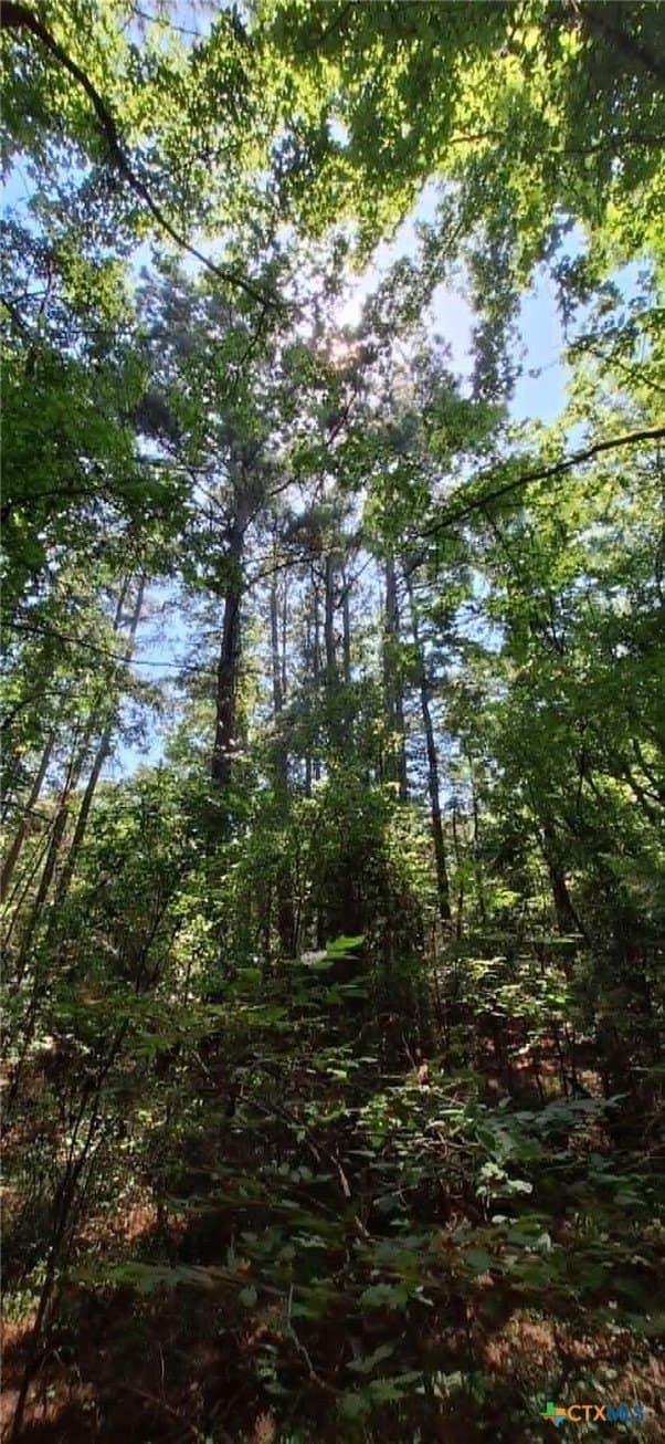 28.56 acres in Upshur County - photo 9
