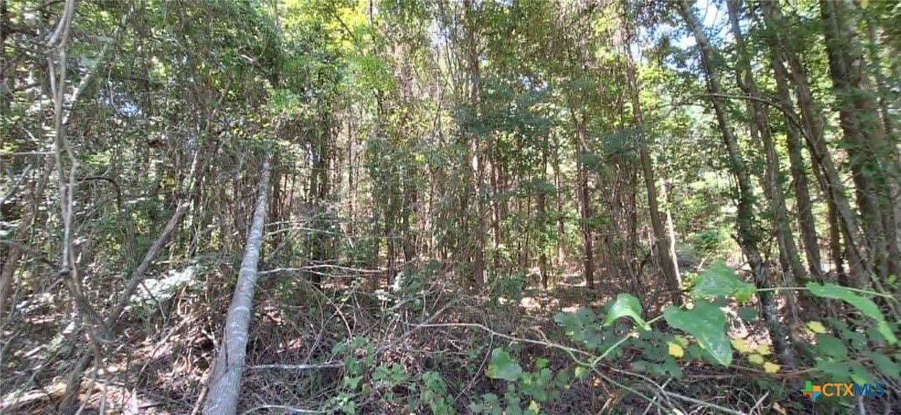 28.56 acres in Upshur County - photo 34