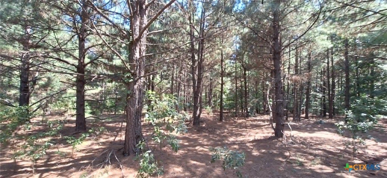 28.56 acres in Upshur County - photo 18