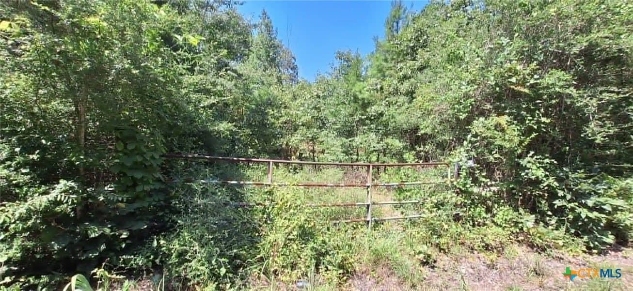 28.56 acres in Upshur County gallery image 2