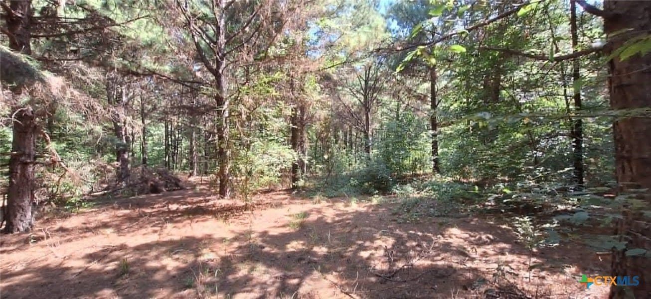 28.56 acres in Upshur County - photo 30