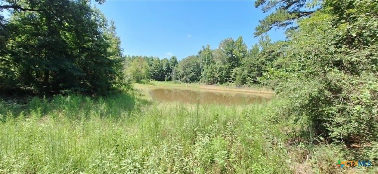 28.56 acres in Upshur County - photo 8
